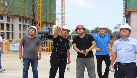 乐鱼在线登录董事会巡检圆满完成